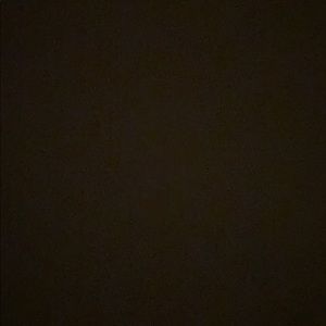 Meet your Posher, Ally